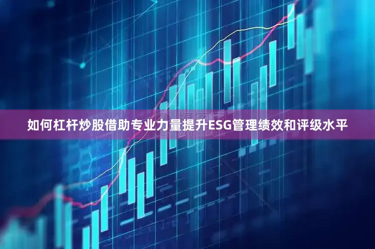 如何杠杆炒股借助专业力量提升ESG管理绩效和评级水平