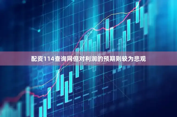 配资114查询网但对利润的预期则较为悲观