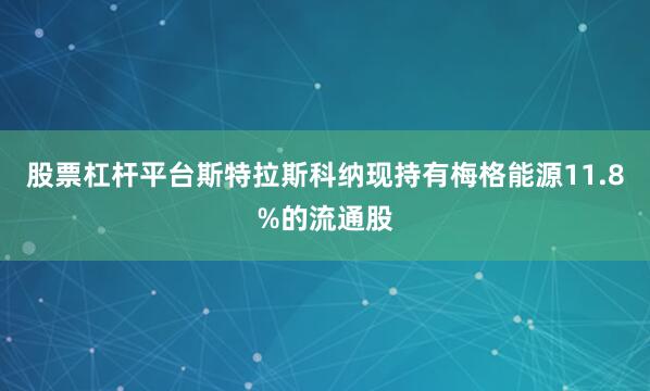 股票杠杆平台　　斯特拉斯科纳现持有梅格能源11.8%的流通股